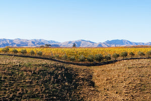 The French Barn Accommodation in Premium Wine Country, Marlborough, New Zealand